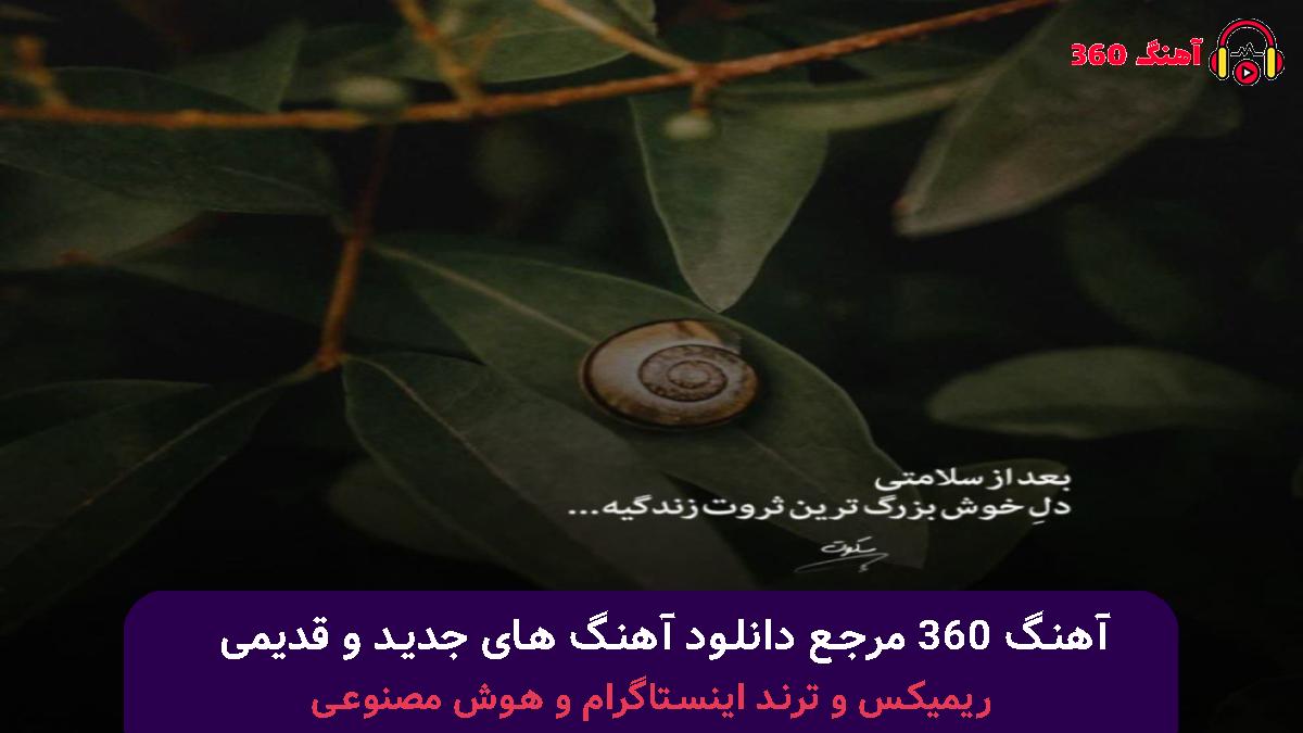کاور آهنگ رفتم که رفتم خداحافظ رفیق بغض و آواز با صدای مرتضی پاشایی